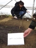 Испитивање утицаја препарата &bdquo;Aquastatin