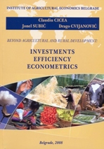 investments_efficiency_econometrics